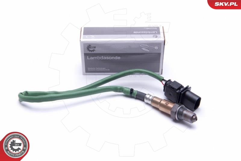 Oxygen Sensor